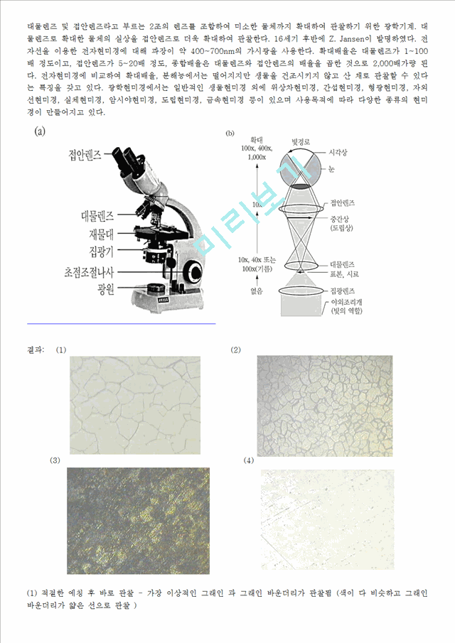 자연과학]실험보고서 - 광학현미경의 조직 검사 및 시편 준비자연과학실험과제